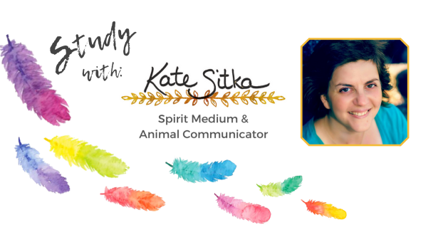 facebook and web page header (4)